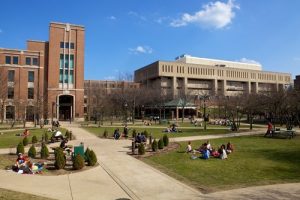 Xếp hạng, học phí, chuyên ngành