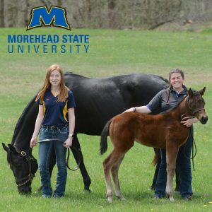 ngành học, học phí, kỳ học