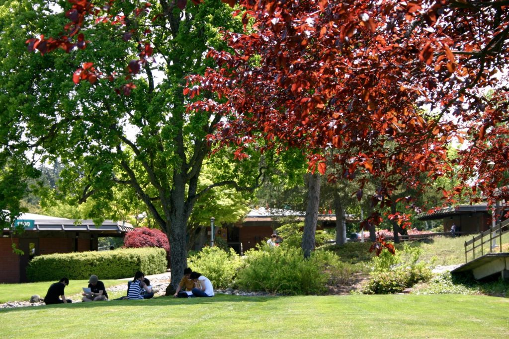 Trường Shoreline Community College ẩn mình dưới những tán cây thường xanh bản địa