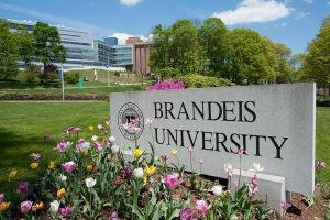 Trường Brandeis University, học phí, yêu cầu đầu vào