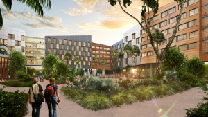 Trường University of Miami, học phí, yêu cầu đầu vào