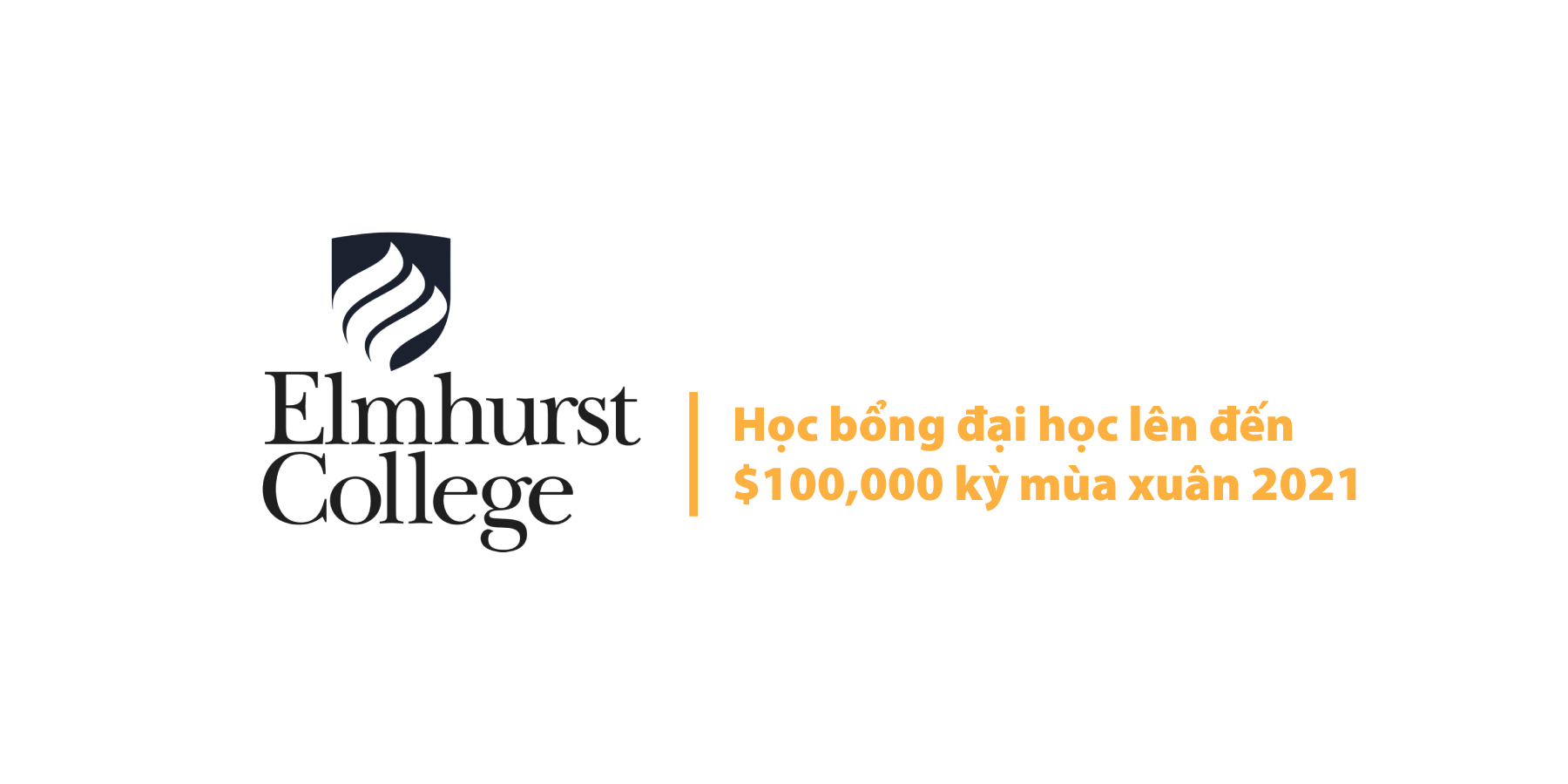 [USA] ELMHURST UNIVERSITY: Học bổng đại học lên đến $100,000 kỳ mùa xuân 2021