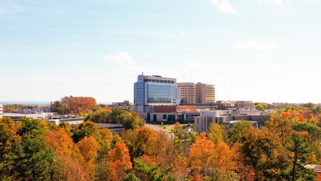 University of Connecticut